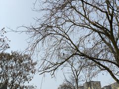 -新津老码头旅游小镇