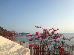 一舍大湾度假酒店-一舍大湾酒店