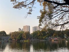 -荔湾湖公园