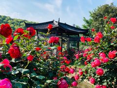 -龙寺生态园