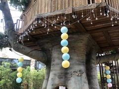 -杭州开元森泊度假乐园