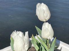 -嘉定凯悦·咖啡厅