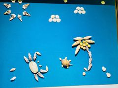 -青岛贝壳博物馆