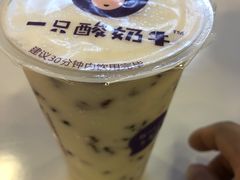 -一只酸奶牛(益州国际店)