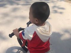 -八爪矩阵极限运动馆·儿童平衡车·感统训练(南海子公园校区)