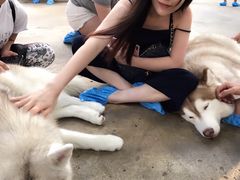 -TrueLove @ Neverland (Husky Cafe)