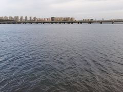 -丁香湖公园
