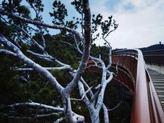 -少华山国家森林公园