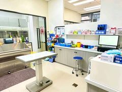 -爱妮康宠物医院·干细胞免疫细胞·肿瘤·心脏(张江店)