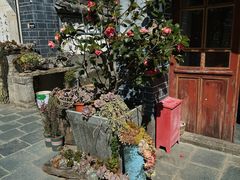 -寂照庵