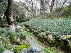 -杭州花家山庄
