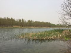 -淇河国家湿地公园