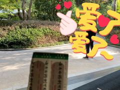 -宁海安岚·南溪阁全日餐厅