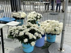 -侵华日军南京大屠杀遇难同胞纪念馆-停车场
