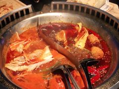 -辣伍鲜毛肚老火锅(元一店)