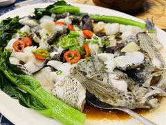 清蒸花斑-祈胜邨•顺德鱼生•顺德菜(容桂店)