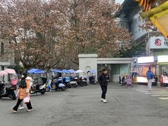-四川农业大学(雅安校区)
