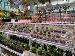 -KKV(深圳宏发大仟里店)