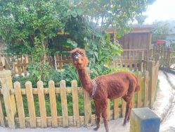 -三分地生态园·儿童乐园