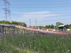 -上海杨姆庄园