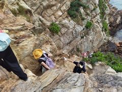 -西涌国际滨海旅游区