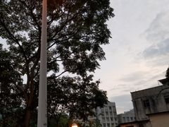 -大澳
