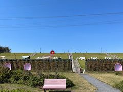 -佛手湖郊野公园