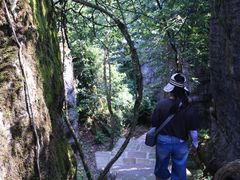-山王坪喀斯特国家生态公园
