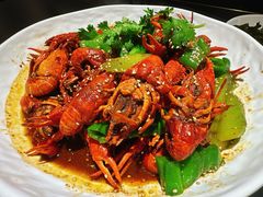 -京悦南门涮羊肉·羊蝎子火锅(田林路店)