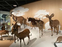 -陕西自然博物馆