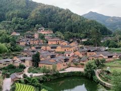 -杨家堂村