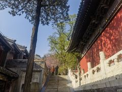 -潭柘寺景区