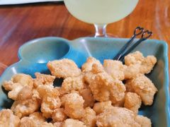 -柴犬高等学院·狗咖·柴犬售卖·宠物训练