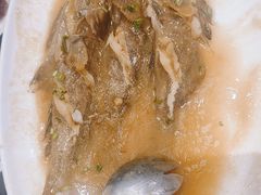 -山海经·海边人家 海鲜新青岛菜(扬州路店)