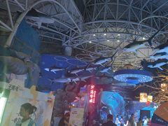 -烟台海昌鲸鲨海洋公园