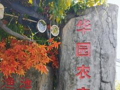 -华园农庄·特色炭烧鸡·北江河鲜