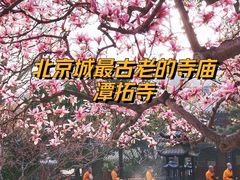 -潭柘寺景区