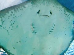 -上海海洋水族馆