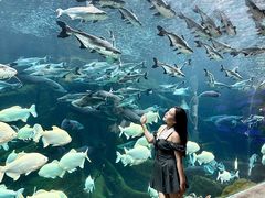 -波塞冬旅游度假区