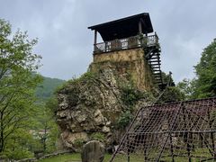 -大连天门山国家森林公园