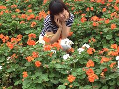 -松山湖梦幻百花洲
