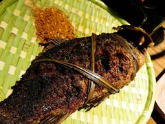 茅草烤鱼-茶花妹子云南餐厅(北大店)