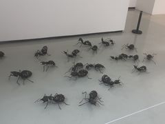 -四川美术学院美术馆