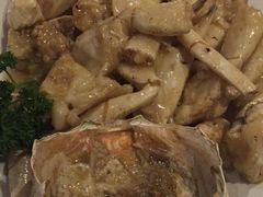 -食为先(Shark Fin)