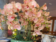 -八府香鸭·啫啫煲(华山路店)