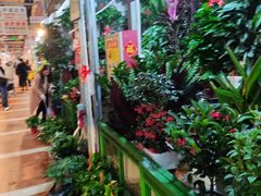 -朝来春花卉市场