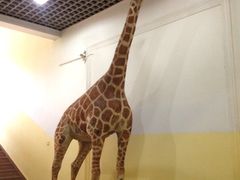 iphone_upload_pic-国家自然博物馆