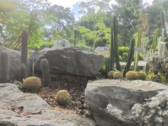 -东莞植物园