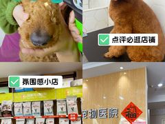 -瑞鹏宠物医院·眼科·皮肤·中兽医(大悦城分院)
