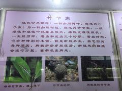 -上海昆虫博物馆